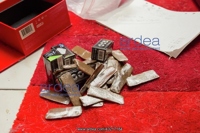 : Entering 100g resin Cannabis during a search - France : Entering 100g resin Cannabis during a search - France