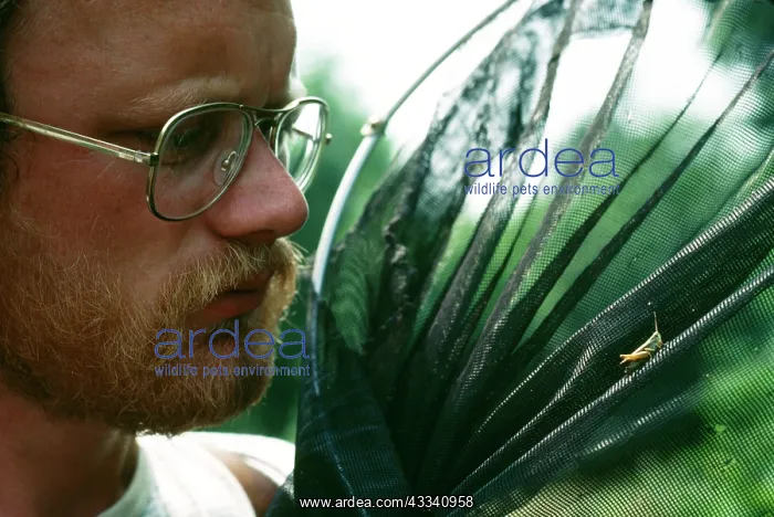 : ENTOMOLOGIST - and grasshopper : ENTOMOLOGIST - and grasshopper