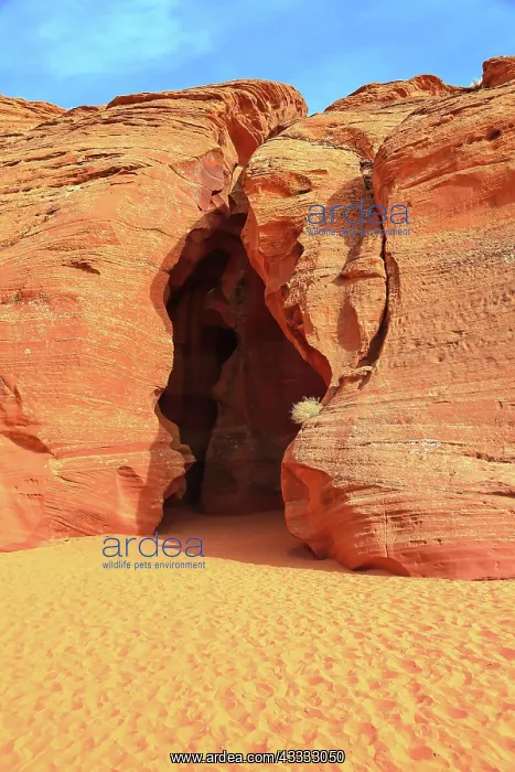 : The entrance to Antelope Canyon in Arizona. Page : The entrance to Antelope Canyon in Arizona. Page