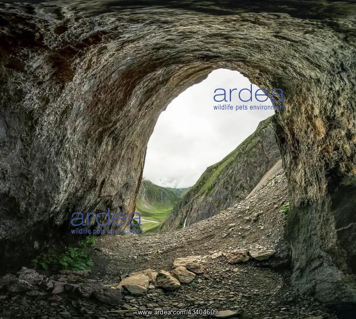 : Entrance to a cave in Kashmir mountains in India : Entrance to a cave in Kashmir mountains in India