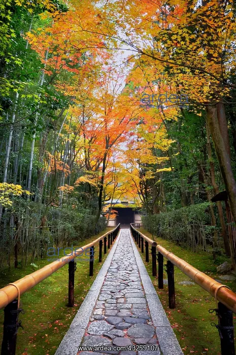 : Entrance of Daitoku-ji temple in autumn in Ky&, x134be0;Japan : Entrance of Daitoku-ji temple in autumn in Ky&, x134be0;Japan