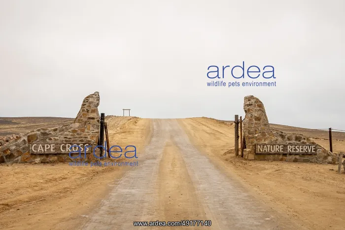 : Entrance gate of Cape Cross Seal Reserve : Entrance gate of Cape Cross Seal Reserve