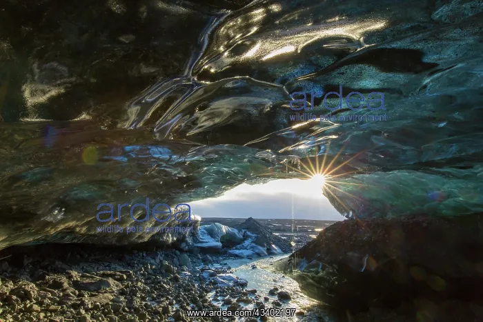 : Entrance of the glacial cave in the Breidamerkurjoekull : Entrance of the glacial cave in the Breidamerkurjoekull