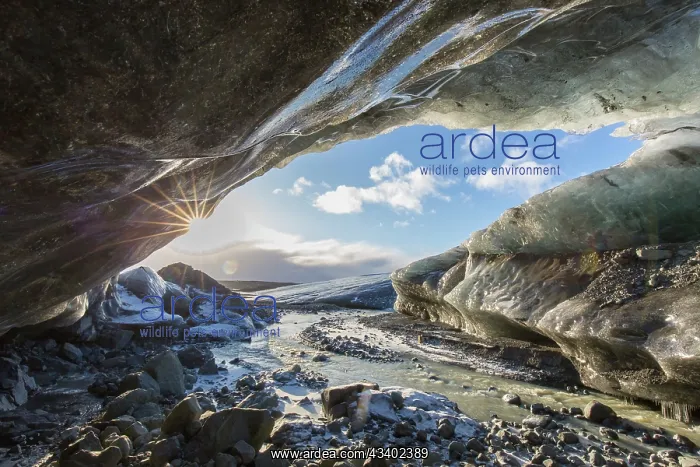 : Entrance of the glacial cave in the Breidamerkurjoekull : Entrance of the glacial cave in the Breidamerkurjoekull