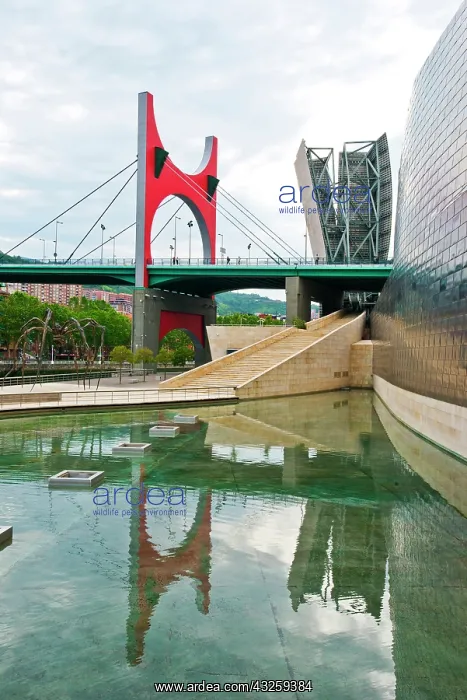: Entrance to the Guggenheim Museum in Balboa : Entrance to the Guggenheim Museum in Balboa