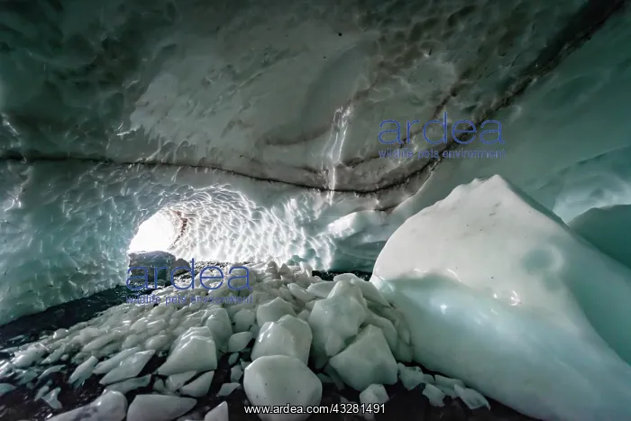 : Entrance of an ice cave of a glacier, Big Four Ice : Entrance of an ice cave of a glacier, Big Four Ice