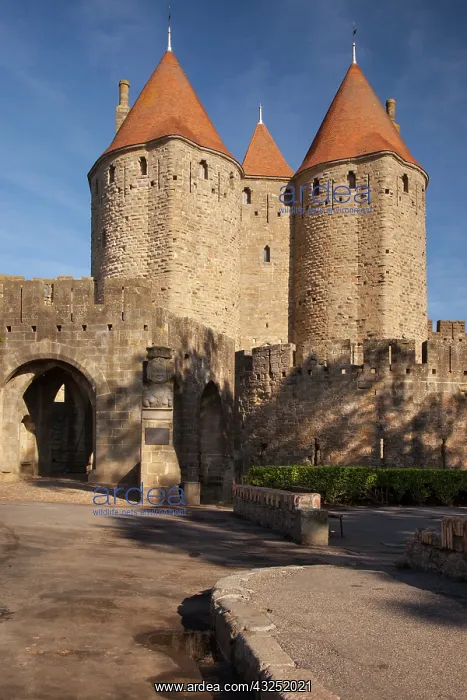 : Back entrance to La Cite Carcassonne, Languedoc-Roussillon : Back entrance to La Cite Carcassonne, Languedoc-Roussillon