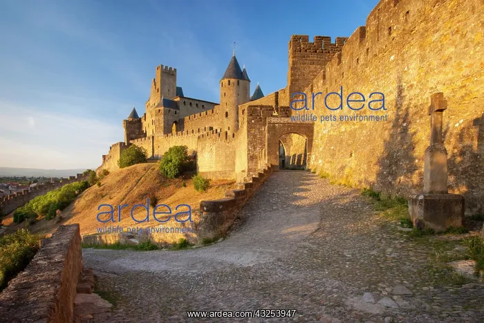 : Entrance to medieval town of Carcassonne : Entrance to medieval town of Carcassonne