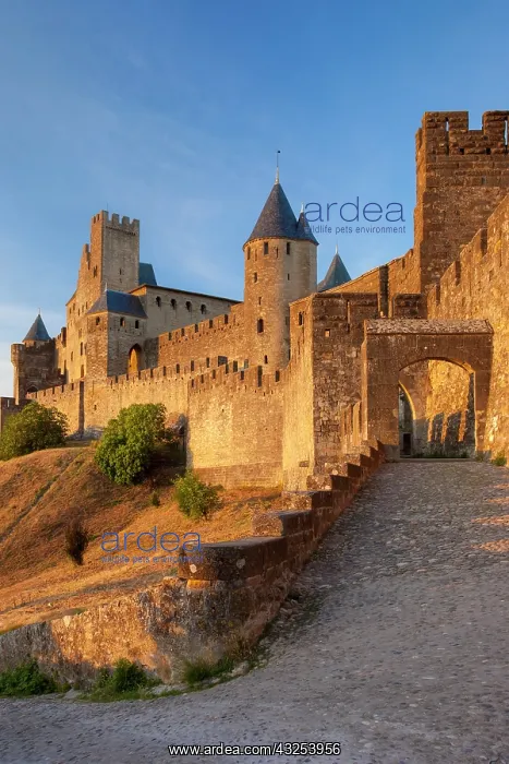 : Entrance to medieval town of Carcassonne : Entrance to medieval town of Carcassonne