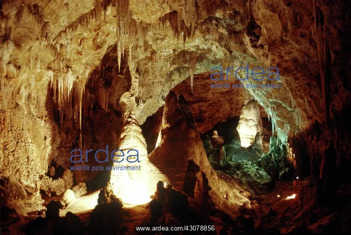 : Entrance Passage, Carlsbad Caverns : Entrance Passage, Carlsbad Caverns