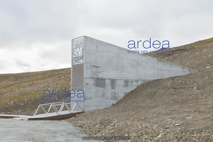 : Entrance to Svalbard Global Seed Vault - largest : Entrance to Svalbard Global Seed Vault - largest