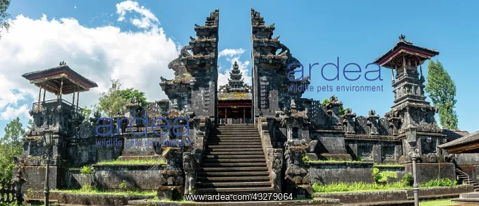 : Entrance to a side temple, Mother temple, Besakih : Entrance to a side temple, Mother temple, Besakih