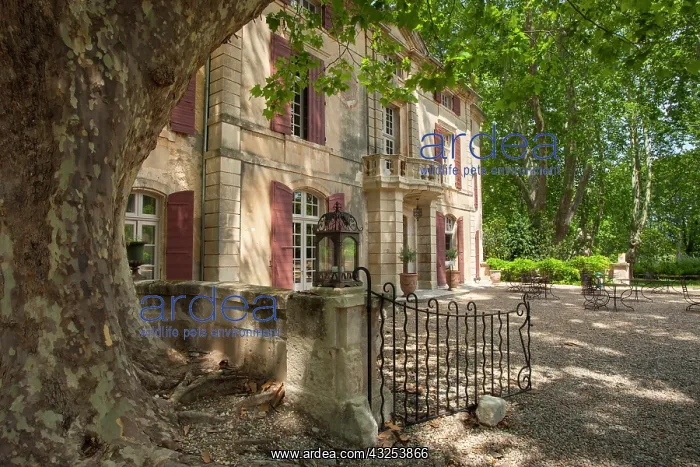 : Front entry to Chateau Roussan near Saint : Front entry to Chateau Roussan near Saint
