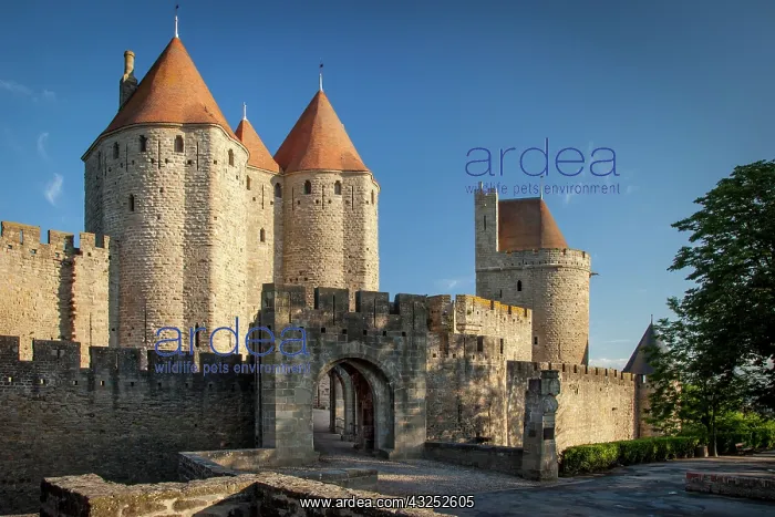 : Front entry gate to medieval village of : Front entry gate to medieval village of