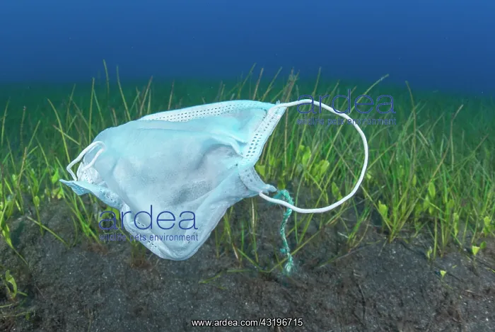 : Environmental problem caused by the misuse of masks : Environmental problem caused by the misuse of masks
