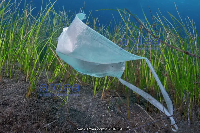 : Environmental problem caused by the misuse of masks : Environmental problem caused by the misuse of masks