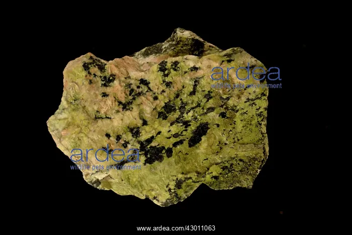 : Epidote in Granite low grade metamorphic : Epidote in Granite low grade metamorphic