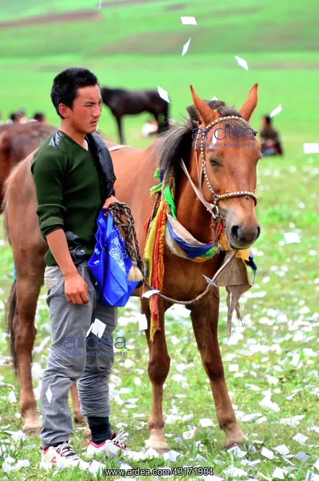 : Equestrian Festival Lapste Every year, in june : Equestrian Festival Lapste Every year, in june