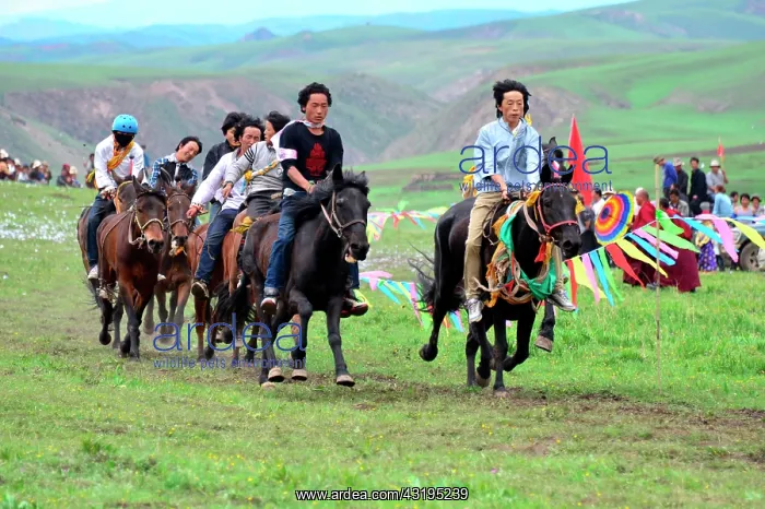 : Equestrian Festival Lapste Every year, in june : Equestrian Festival Lapste Every year, in june