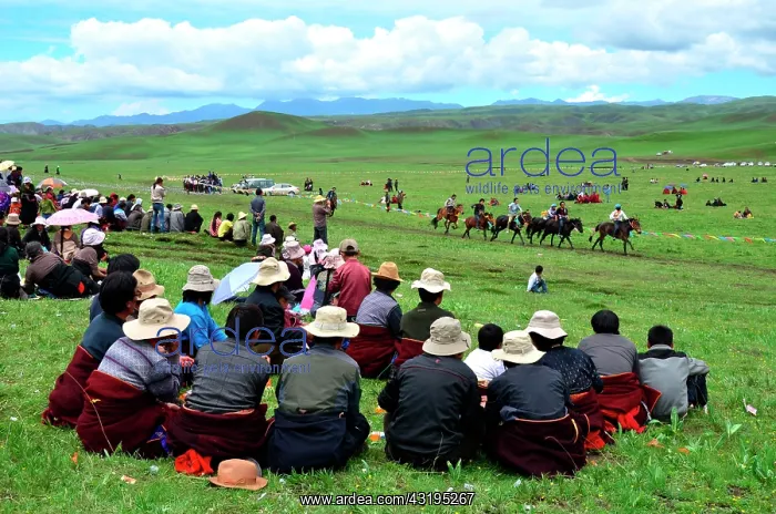 : Equestrian Festival Lapste Every year, in june : Equestrian Festival Lapste Every year, in june