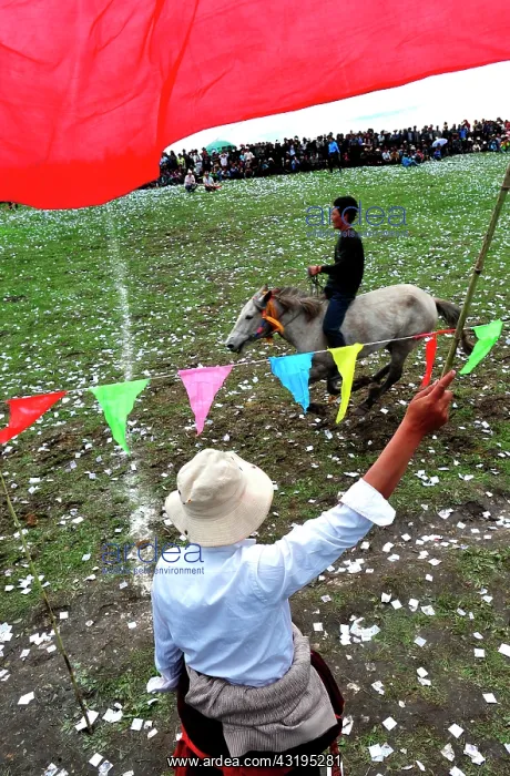 : Equestrian Festival Lapste Every year, in june : Equestrian Festival Lapste Every year, in june