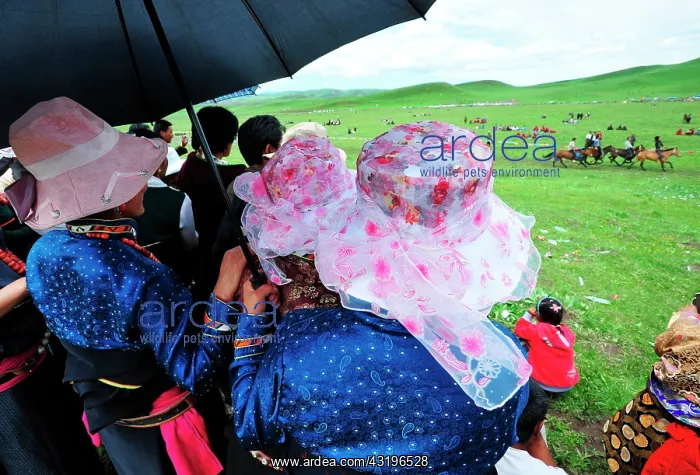 : Equestrian Festival Lapste Every year, in june : Equestrian Festival Lapste Every year, in june