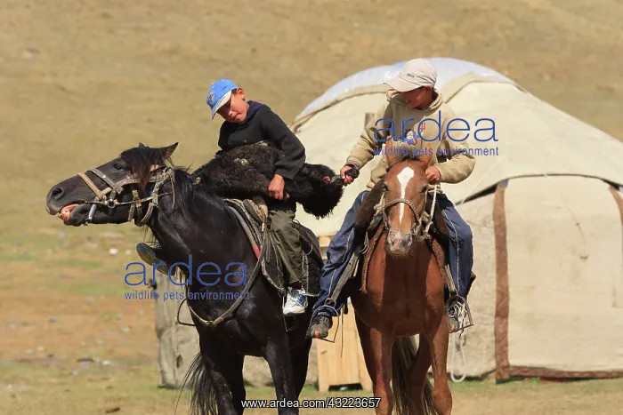 : Equestrian Games in Ulach Taricht at Lake Son Kul - Kyrgyzst : Equestrian Games in Ulach Taricht at Lake Son Kul - Kyrgyzst