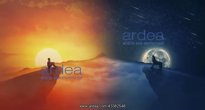 : Equinox concept with sunrise against moonrise sc : Equinox concept with sunrise against moonrise sc