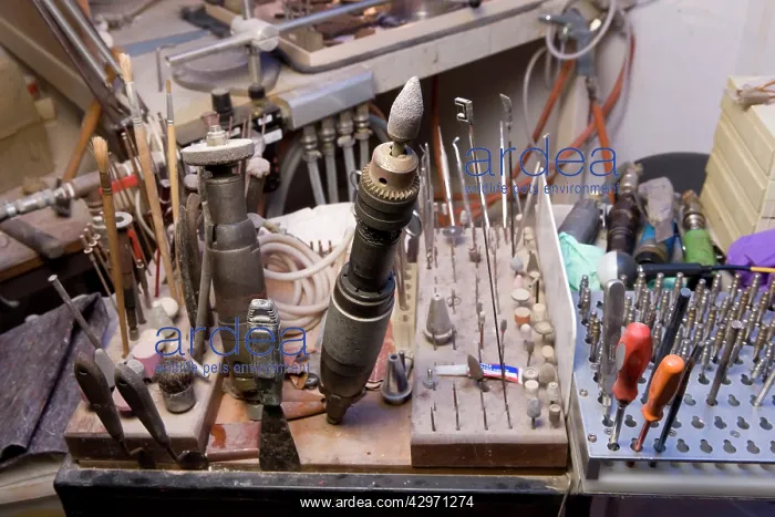: Equipment in workshop of Paleontologist / Palaeontologist : Equipment in workshop of Paleontologist / Palaeontologist