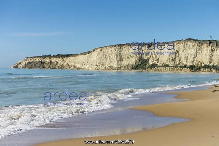 : Eraclea Minoa beach, limestone cliffs, Sicily, Italy, Europe : Eraclea Minoa beach, limestone cliffs, Sicily, Italy, Europe