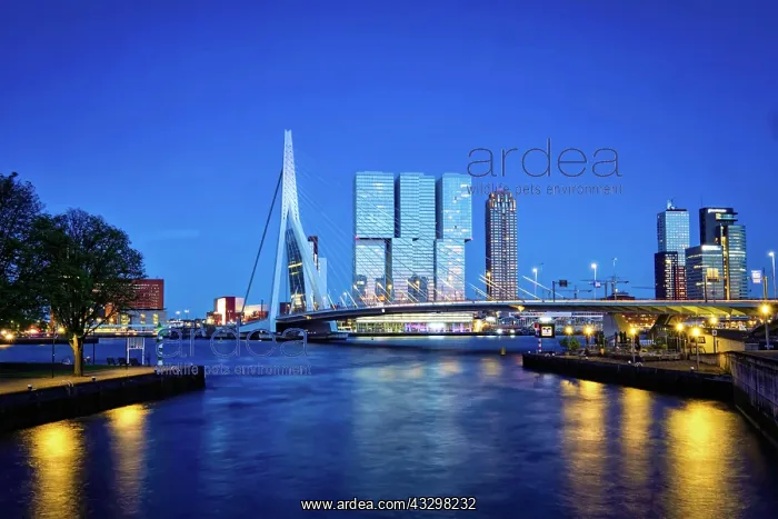 : Erasmus Bridge (Erasmusbrug) and Rotterdam skyline : Erasmus Bridge (Erasmusbrug) and Rotterdam skyline
