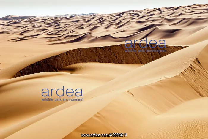 : Erg Murzuq, Sahara Desert, Fezzan, Libya : Erg Murzuq, Sahara Desert, Fezzan, Libya