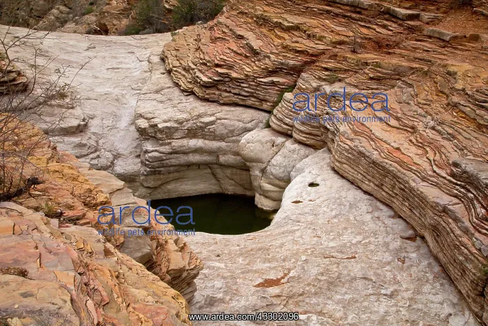 : Ernst Tinaja water pools : Ernst Tinaja water pools