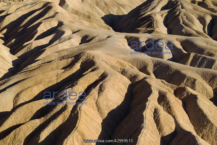 : Eroded badlands at Gower Gulch seen from Zabriskie : Eroded badlands at Gower Gulch seen from Zabriskie