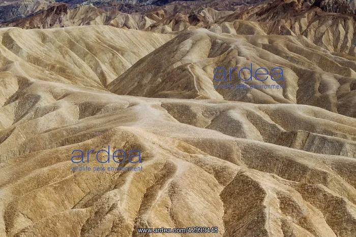 : Eroded badlands at Gower Gulch seen from Zabriskie Point : Eroded badlands at Gower Gulch seen from Zabriskie Point