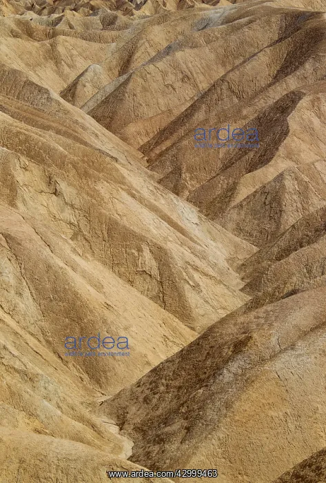 : Eroded badlands at Gower Gulch seen from Zabriskie Point : Eroded badlands at Gower Gulch seen from Zabriskie Point