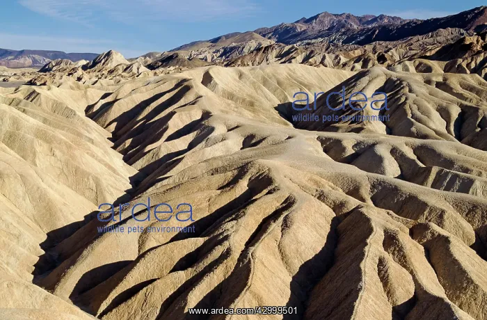 : Eroded badlands at Gower Gulch seen from Zabriskie Point : Eroded badlands at Gower Gulch seen from Zabriskie Point