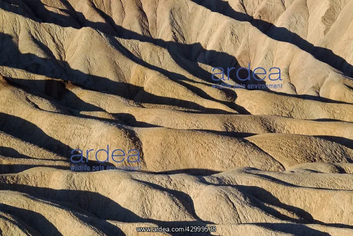 : Eroded badlands at Gower Gulch seen from Zabriskie Point : Eroded badlands at Gower Gulch seen from Zabriskie Point