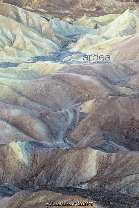 : The eroded badlands of Gower Gulch below Zabriskie : The eroded badlands of Gower Gulch below Zabriskie
