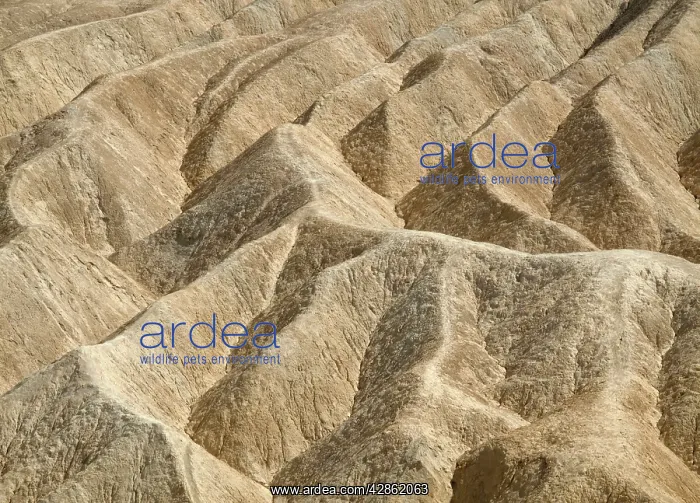 : Eroded badlands around Zabriskie Point in the Death Valley : Eroded badlands around Zabriskie Point in the Death Valley