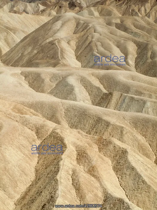 : Eroded badlands around Zabriskie Point in the Death Valley : Eroded badlands around Zabriskie Point in the Death Valley