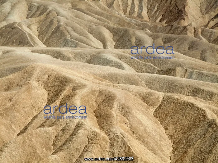 : Eroded badlands around Zabriskie Point in the Death Valley : Eroded badlands around Zabriskie Point in the Death Valley