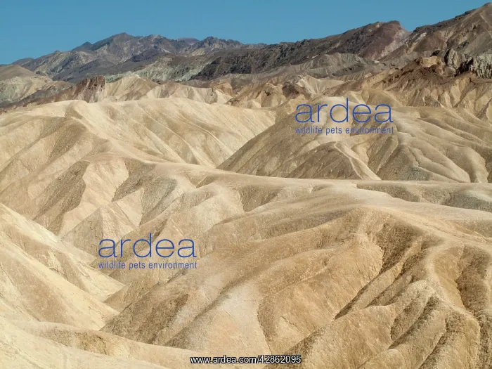 : Eroded badlands around Zabriskie Point in the Death Valley : Eroded badlands around Zabriskie Point in the Death Valley