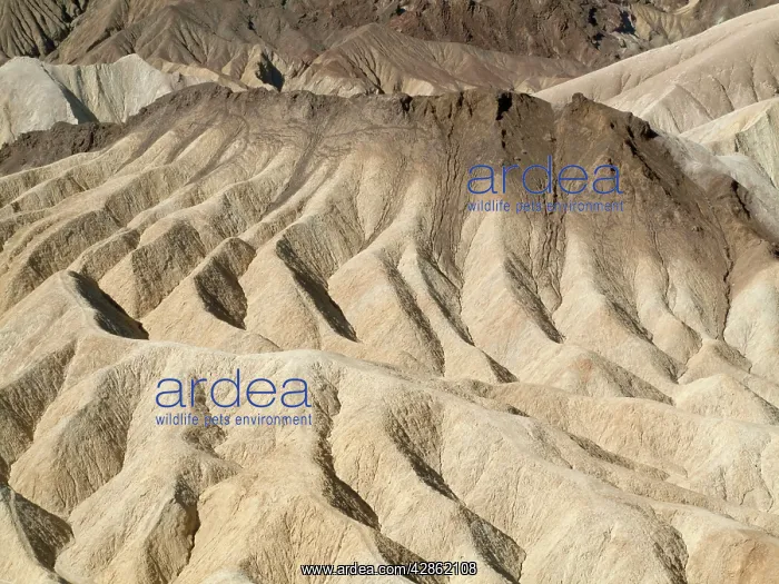 : Eroded badlands around Zabriskie Point in the Death Valley : Eroded badlands around Zabriskie Point in the Death Valley