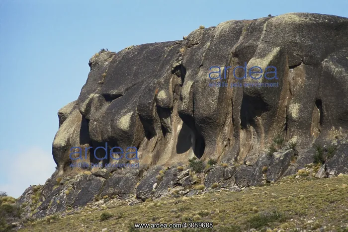 : Eroded Cliff in Patagonia : Eroded Cliff in Patagonia