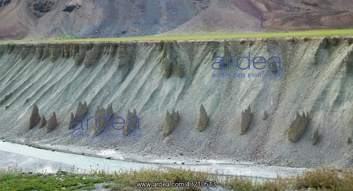 : Eroded formation of mountain, Himalayas : Eroded formation of mountain, Himalayas