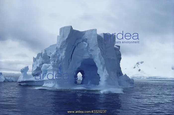 : Eroded Iceberg, Antarctica : Eroded Iceberg, Antarctica