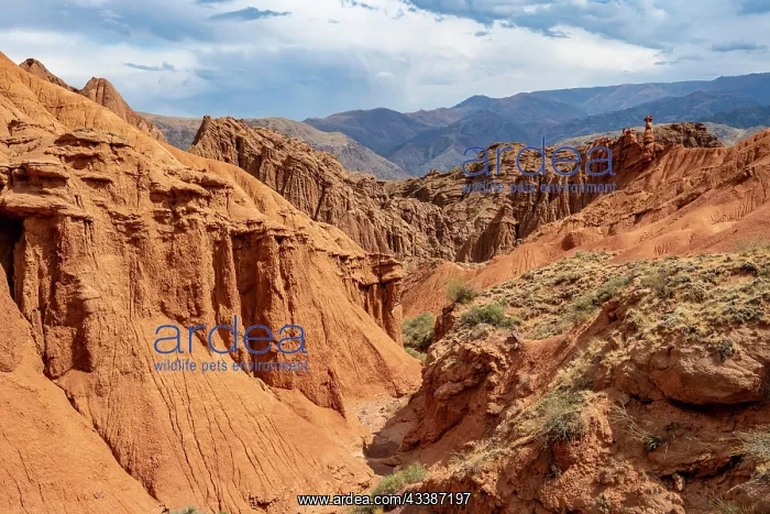 : Eroded mountain landscape with sandstone cliffs : Eroded mountain landscape with sandstone cliffs