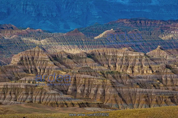 : Eroded mud landscape in the kingdom of Guge, Western : Eroded mud landscape in the kingdom of Guge, Western