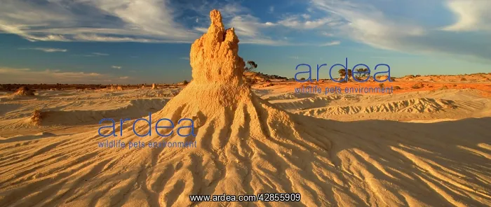 : Eroded pinnacle - amazingly shaped, eroded pinnacle : Eroded pinnacle - amazingly shaped, eroded pinnacle